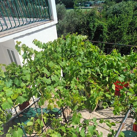 דוברובניק Apartment Jo מראה חיצוני תמונה