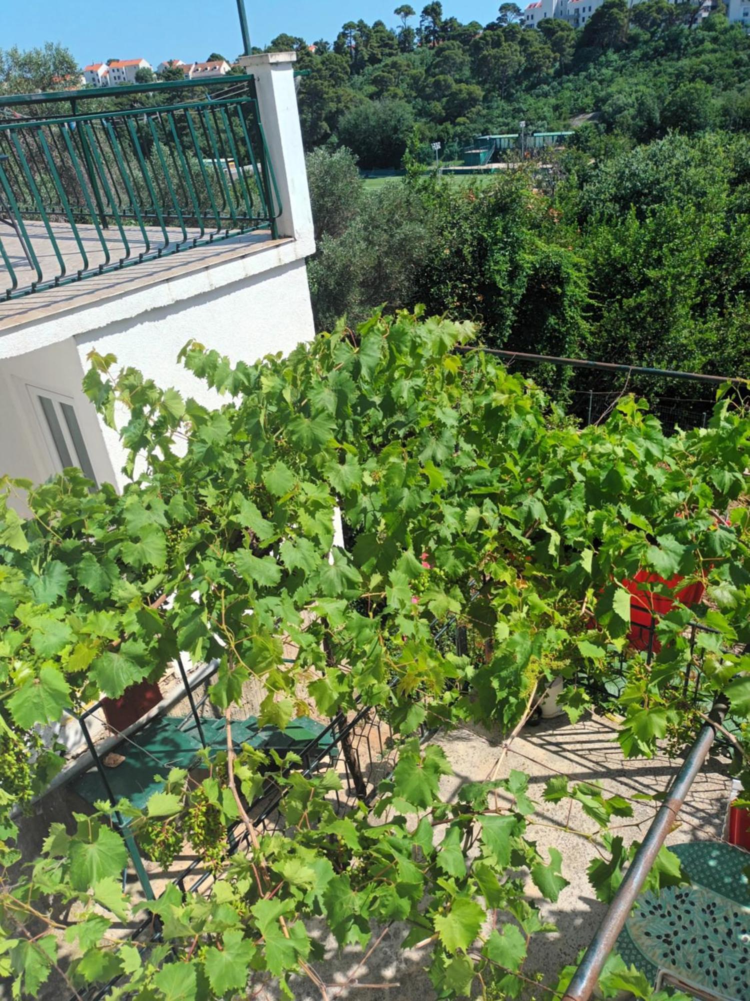 דוברובניק Apartment Jo מראה חיצוני תמונה